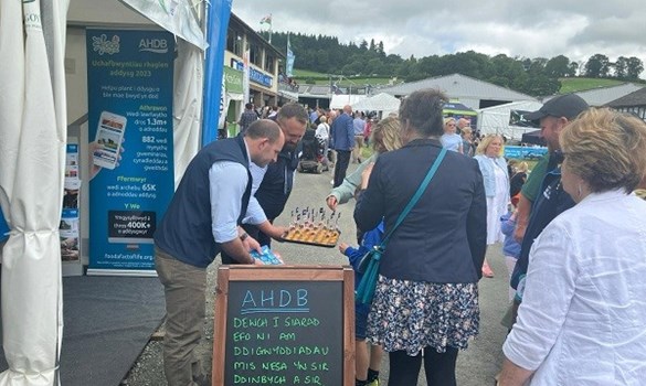 People visiting the AHDB stand at the Royal Welsh Show.